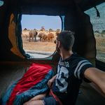 Camping near the waterhole